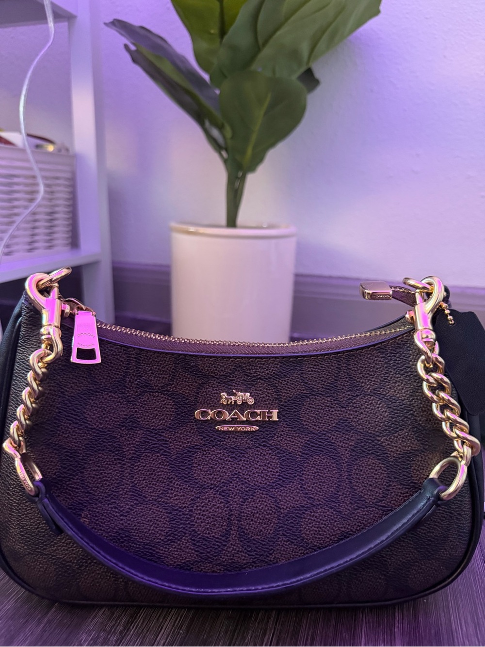 Coach Teri Shoulder Bag Signature Canvas Brown Black Gold